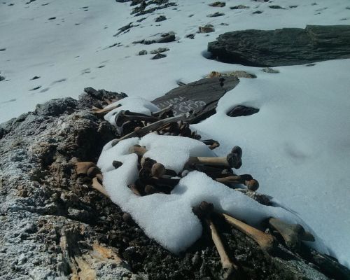 Roopkund Trek