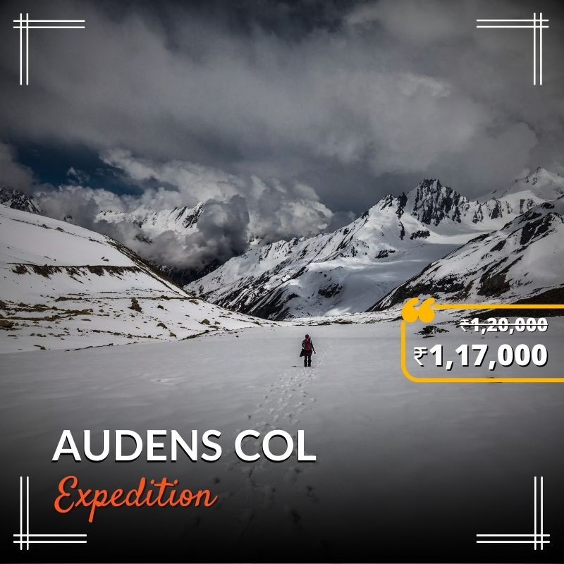 audens col