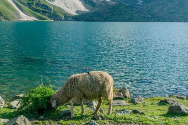 Kashmir Great Lake
