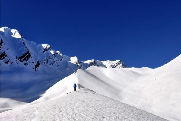 audens col (3) audens col